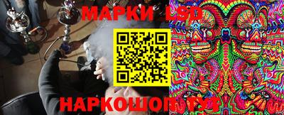 тгк Донской