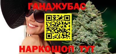 шишки Дубна