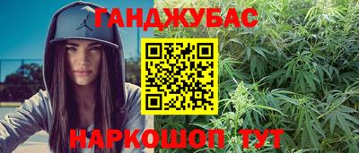 шишки Дубна