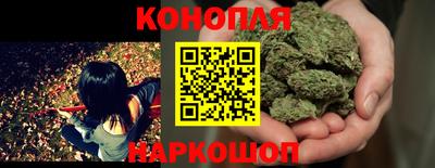 шишки Дубна