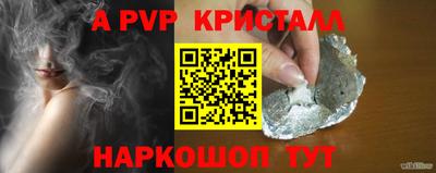 шишки Дубна