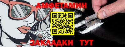 шишки Дубна