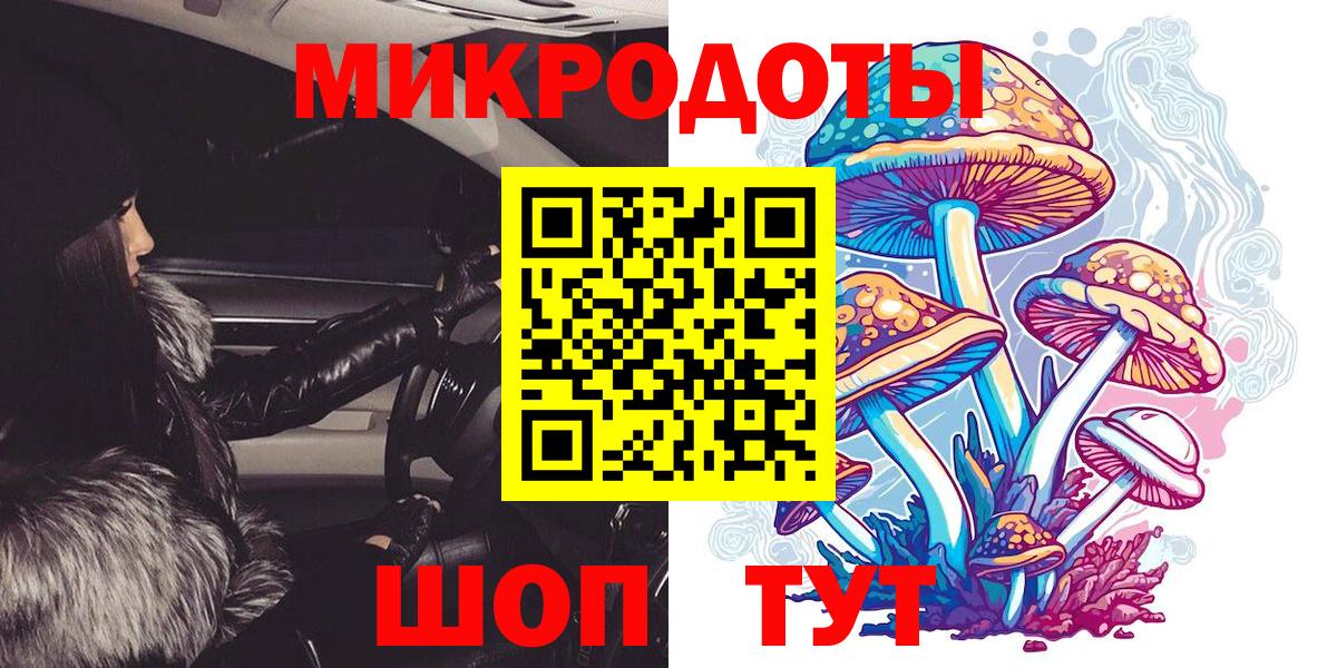 Галлюциногенные грибы Psilocybe  как найти наркотики  Новочебоксарск  Вход с VPN 